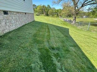 Kristen B.'s Lawn Service service result