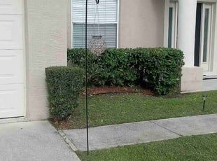 Bush Trimming by Miguel Rodriguez for Skyla S. in Palm Coast, FL