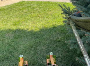 Jean p.'s Lawn Mowing service result