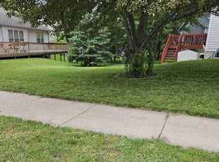 Karol K.'s Lawn Mowing Service service result