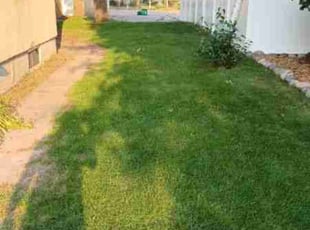 Cleanups by Abigial Klar for Adnan M. in Minneapolis, MN