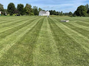 Pat A.'s Grass Cutting service result