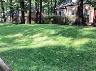 Joyce H.'s Lawn Mowing Service service result