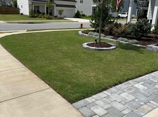 Johnetta L.'s Lawn Service service result