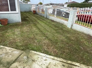Sharon M.'s Lawn Mowing service result