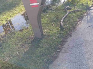 Cleanups by Patrick Miller for Myrna and Michael F. in Palm Coast, FL