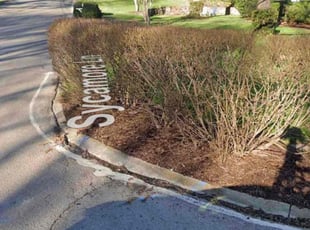 Leaf Removal by Brett Pack for Suzanne B. in Nashville, TN