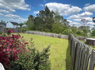 Michelle M.'s Grass Cutting service result