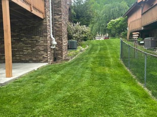 Vicki S.'s Lawn Mowing Service service result