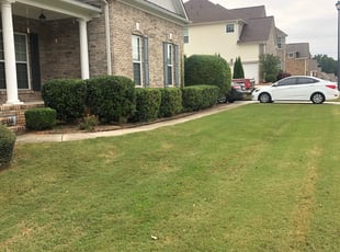 Bush Trimming by Joey Duffy for Kasandra L. in Conyers, GA