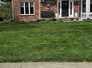 Roberto A.'s Lawn Service service result