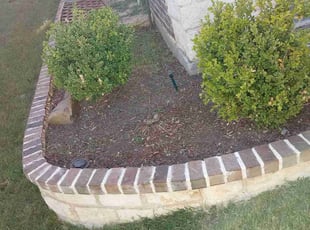 Weeding by Jesus Castilleja for Ryan C. in Euless, TX