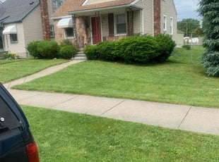 Juanis B.'s Lawn Maintenance service result