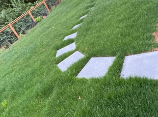 Tammy T.'s Lawn Maintenance service result