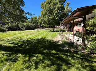 Chris G.'s Lawn Mowing service result
