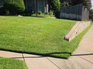 Janice G.'s Grass Cutting service result