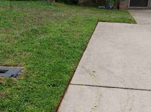 Lisa C.'s Lawn Mowing service result