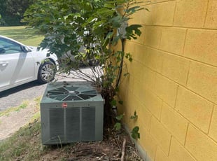 Bush Trimming by Irvin Lopez for Jordan B. in Nashville, TN
