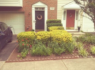 Bush Trimming by Rose Valle for Jackie C. in Fairfax, VA