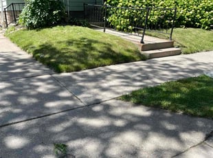 Nia S.'s Lawn Maintenance service result