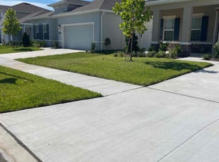 Terry W.'s Lawn Mowing service result