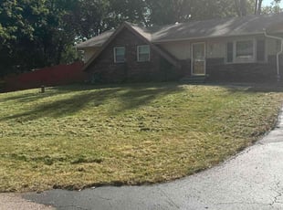 Magen F.'s Lawn Care service result