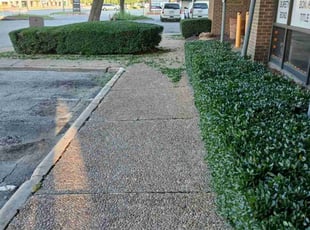 Bush Trimming by Valente Alvarado for Tyko M. in Carrollton, TX