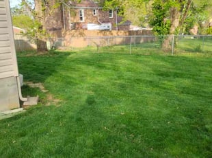 Kathy R.'s Lawn Care service result