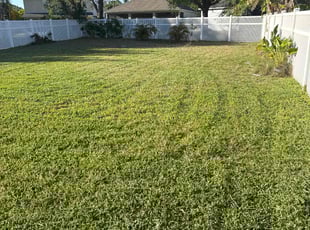 John H.'s Lawn Mowing Service service result