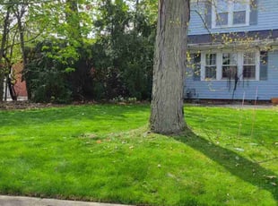 Carlos O.'s Yard Cutting service result