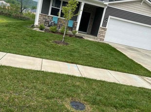 Linda S.'s Lawn Mowing Service service result