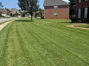 Shelia L.'s Lawn Mowing service result
