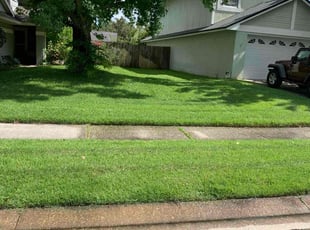 Thomas A.'s Lawn Service service result