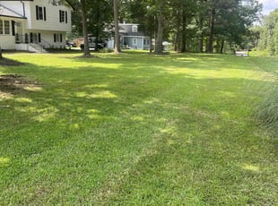 poola n.'s Lawn Mowing service result