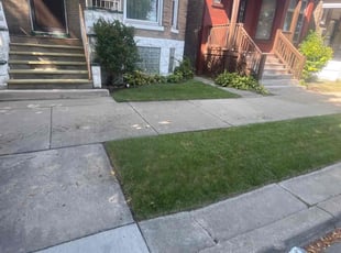 Darren S.'s Yard Cutting service result