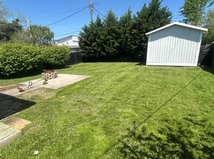 Renee Y.'s Yard Cutting service result