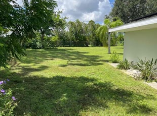 Judith V.'s Lawn Mowing service result