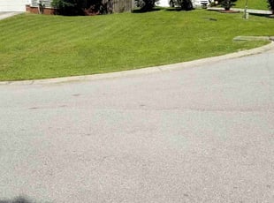 Nano N.'s Lawn Care service result