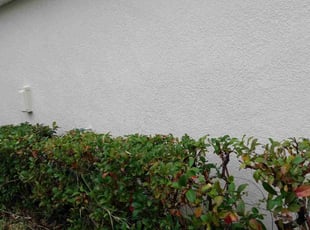 Bush Trimming by Kathryn Flipse for Kelly P. in Melbourne, FL