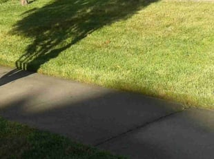Deborah S.'s Lawn Service service result