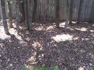 Weeding by Bryan May for Kelley R. in San Antonio, TX