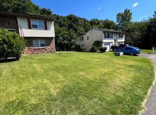 Antonia R.'s Yard Cutting service result