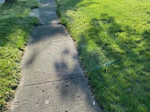 Susan C.'s Lawn Maintenance service result