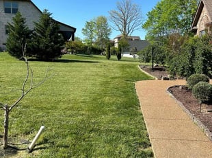 Justin S.'s Lawn Mowing Service service result