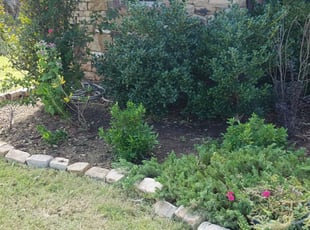 Weeding by Jason Parker for Brian R. in Edmond, OK