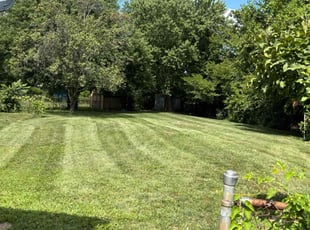 Troy Z.'s Lawn Care service result