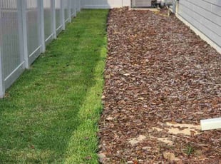 Glenn M.'s Lawn Mowing service result