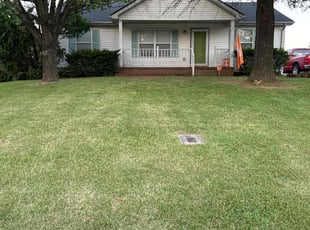 Ivica O.'s Yard Cutting service result