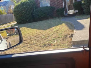 Todd B.'s Lawn Care service result