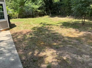 Leaf Removal by Jose Duenas for Monica C. in Mooresville, NC